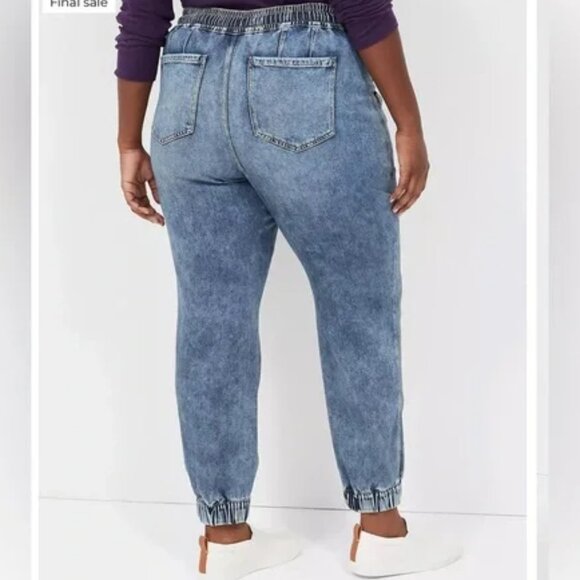 Lane Bryant Pull-On Boyfriend Jogger Jean 26 - Picture 3 of 16